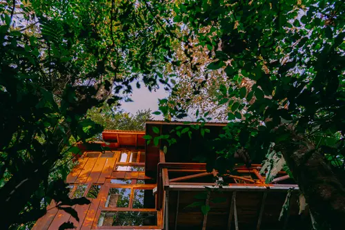 CABANA12.webp