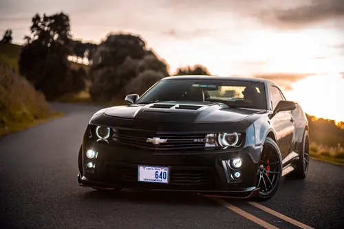 CAMARO5.webp