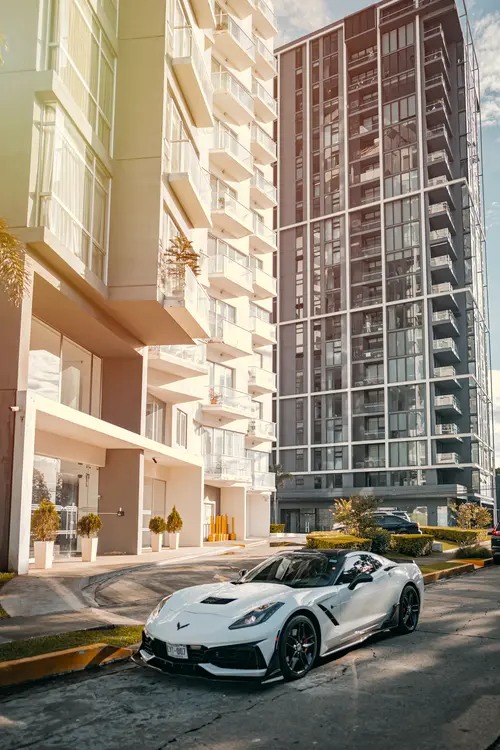 CORVETTE12.webp