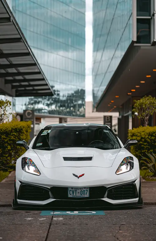 CORVETTE4.webp