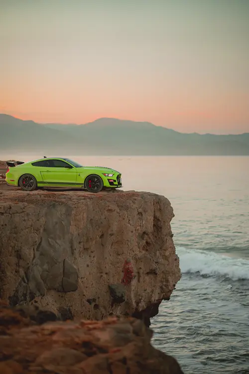 SHELBY1.webp